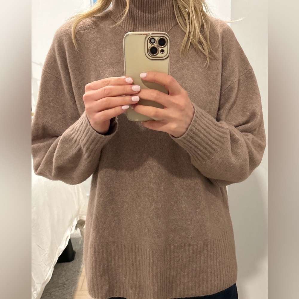 Everlane Taupe Women's Turtleneck Sweater
